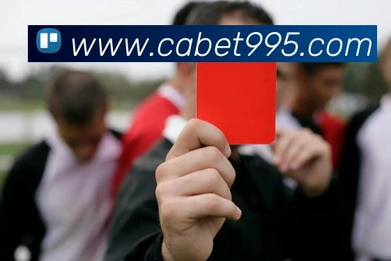 cabet亚州城平台生态图